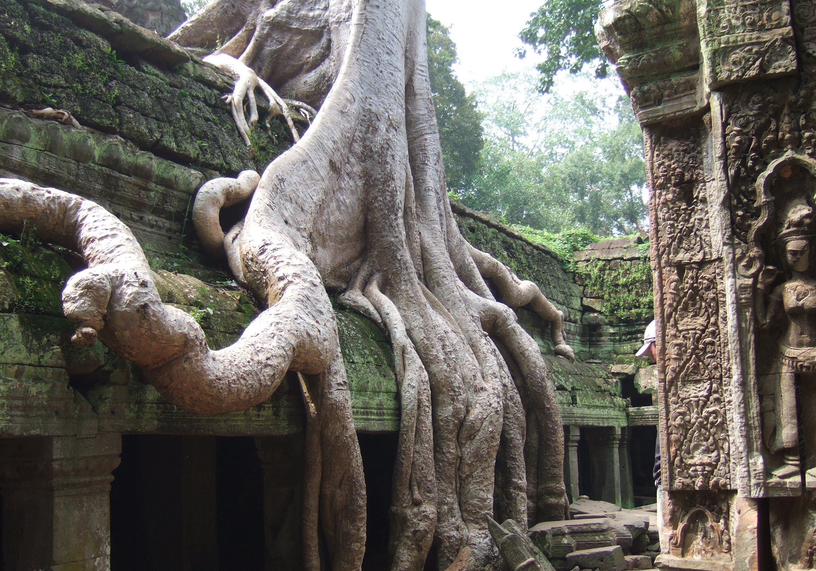 Angkor, Cambodia